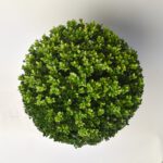 Ilex Bol - Ø35 cm - Afbeelding 4