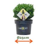 Ilex Bol - Ø25 cm - Afbeelding 2