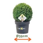 Ilex Bol - Ø35 cm - Afbeelding 2