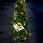 Ilex Kegel - 70/+ cm met 48 lamps verlichting