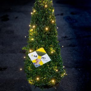 Ilex Kegel - 70/+ cm met 48 lamps verlichting