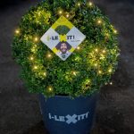 Ilex Bol - Ø40 cm met 48 lamps verlichting
