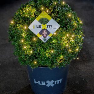 Ilex Bol - Ø40 cm met 48 lamps verlichting